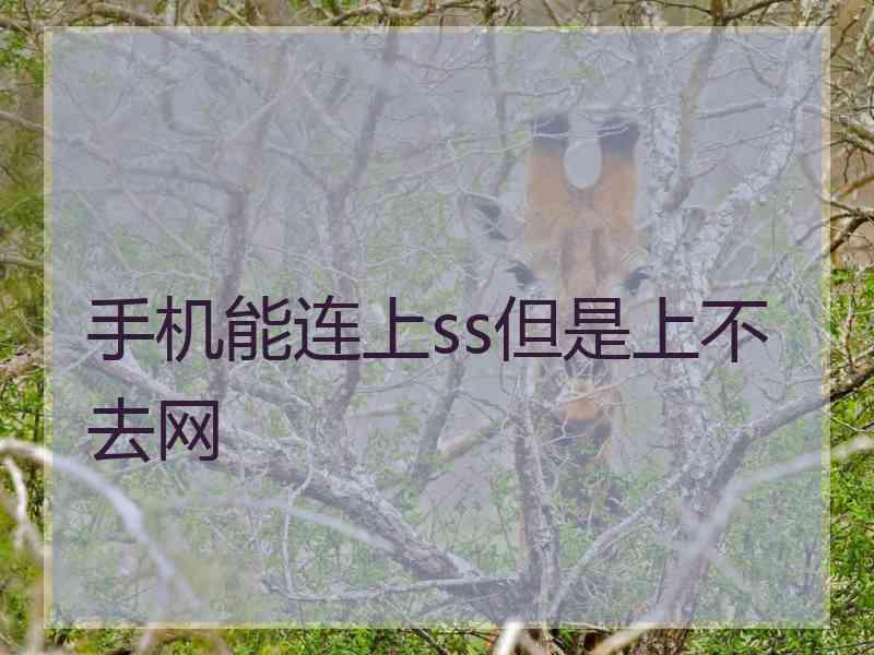 手机能连上ss但是上不去网